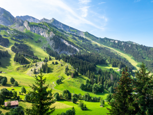 Engagement durable : préserver demain en agissant aujourd’hui