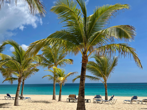 My fondest travel memory?