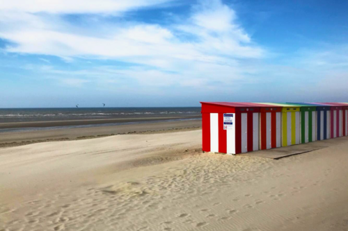 Why do I love my job?