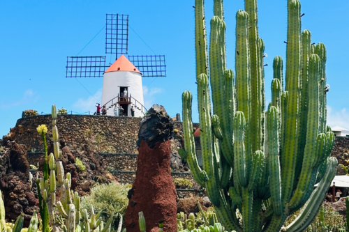 Lanzarote Ile Canaries volcan sable noir jardin cactus sejour vacances organisées agence de voyages Cimes Evasion haute savoie groupes