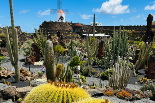 Lanzarote Ile Canaries volcan sable noir jardin cactus sejour vacances organisées agence de voyages Cimes Evasion haute savoie groupes