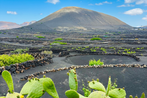 Lanzarote Ile Canaries volcan sable noir vignoble La Geria sejour vacances organisées agence de voyages Cimes Evasion haute savoie groupes