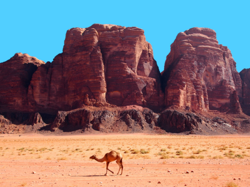 Jordanie Wadi Rum