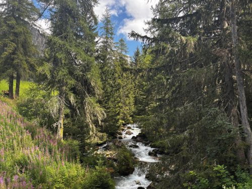 Rosuel en famille avec Cimes Evasion