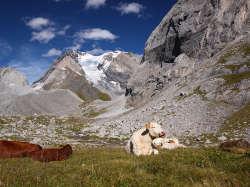Randonnée Vanoise en famille avec Cimes Evasion