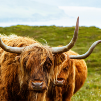 Glencoe Ecosse avec Cimes Evasion